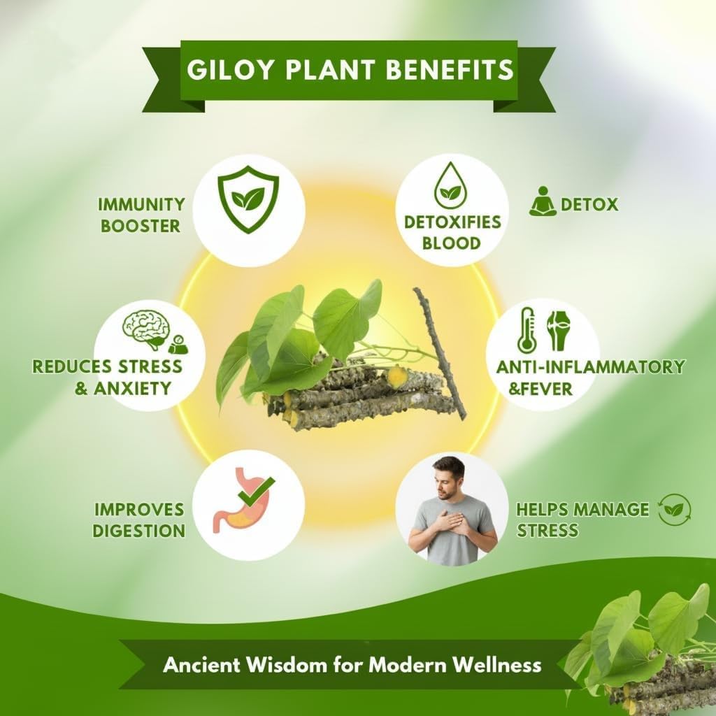 Herbal Giloy Detox Foot Patches 🌿(Pack of 20🔥)