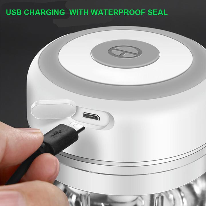 Electric Food Chopper and Grinder (USB Rechargeable)