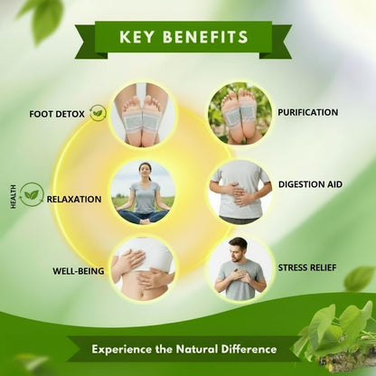 Herbal Giloy Detox Foot Patches 🌿(Pack of 20🔥)