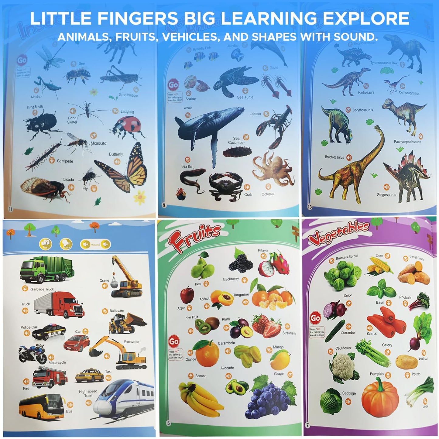 English Words Sound Book for Kids and Children | Early Learning Toy for Boys & Girls
