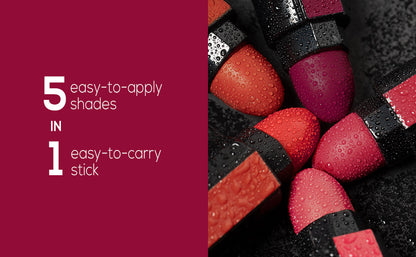 MATTE FINISH 5 IN 1 LIPSTICK (BUY 1 GET 1)